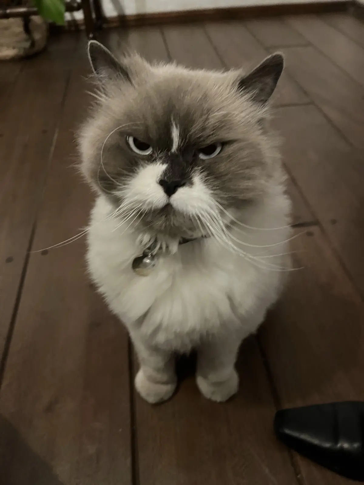 Understanding your cycle changes everything